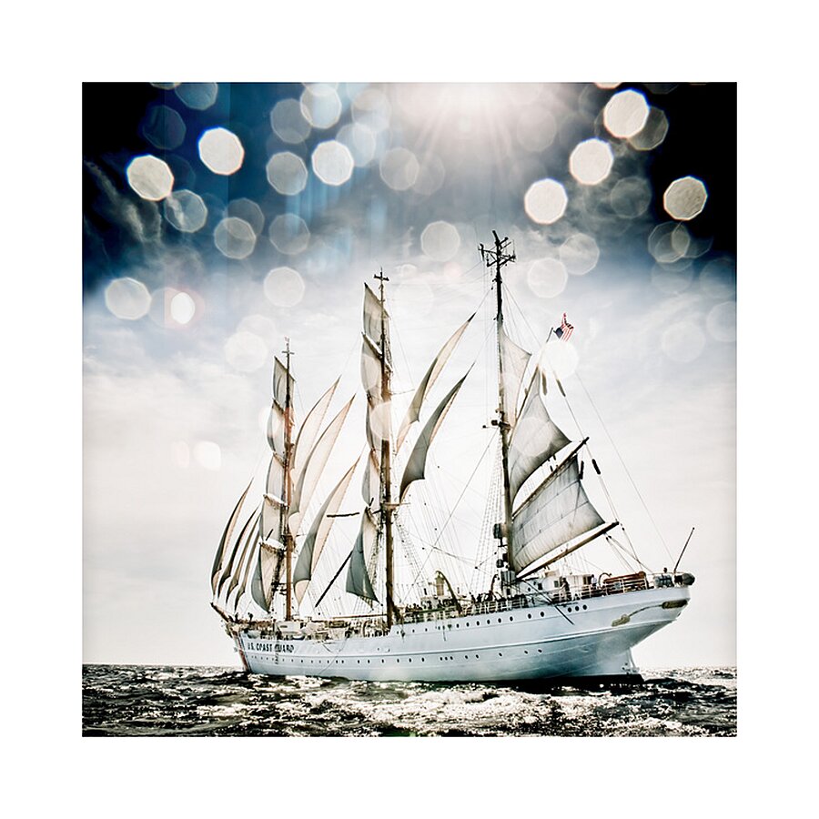 Tall Ship Eagle Full Sail Picture Frame print