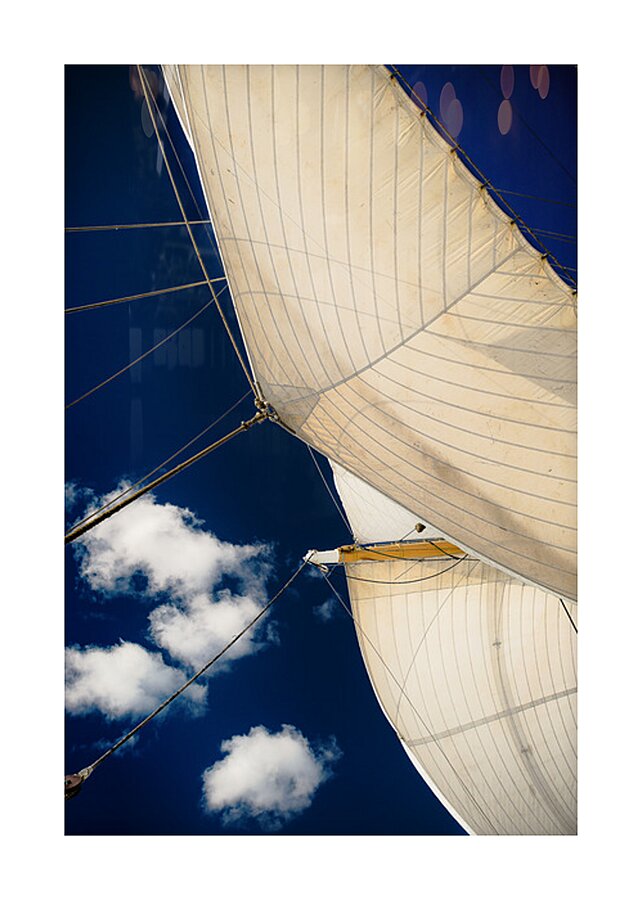Full Sail Eagle USCG  2 Picture Frame print