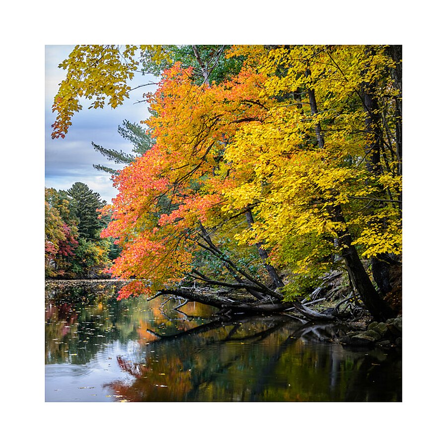 Nashua River MA Picture Frame print