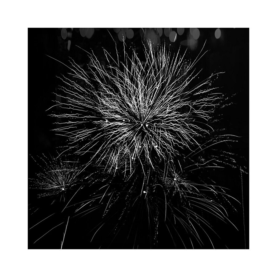 B&W Celebrations  Picture Frame print