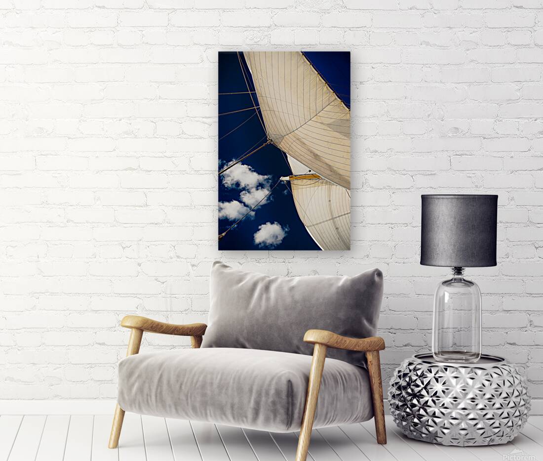 Full Sail Eagle USCG  2 Reproduction
