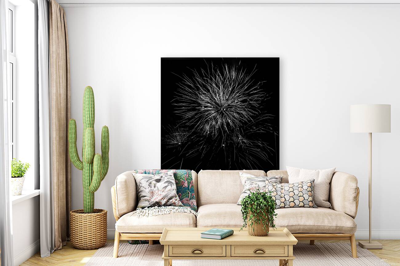 B&W Celebrations  Reproduction