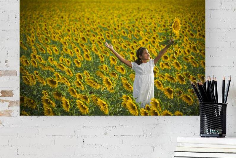 Sunflower Joy Reproduction