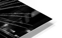 BW Celebrate HD Metal print