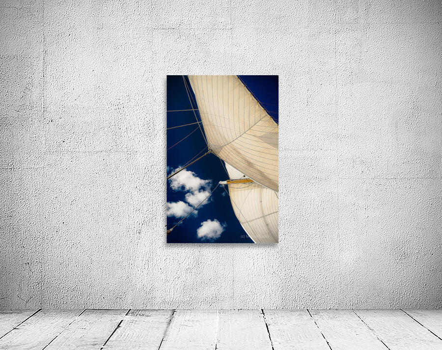 Full Sail Eagle USCG  2 Wall Preview