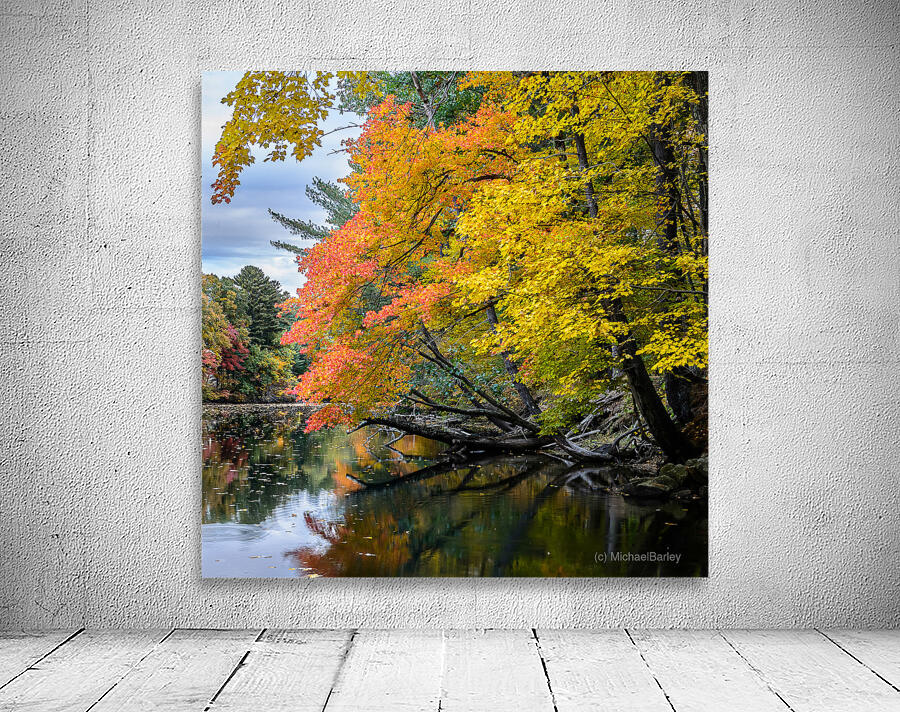Nashua River MA Wall Preview
