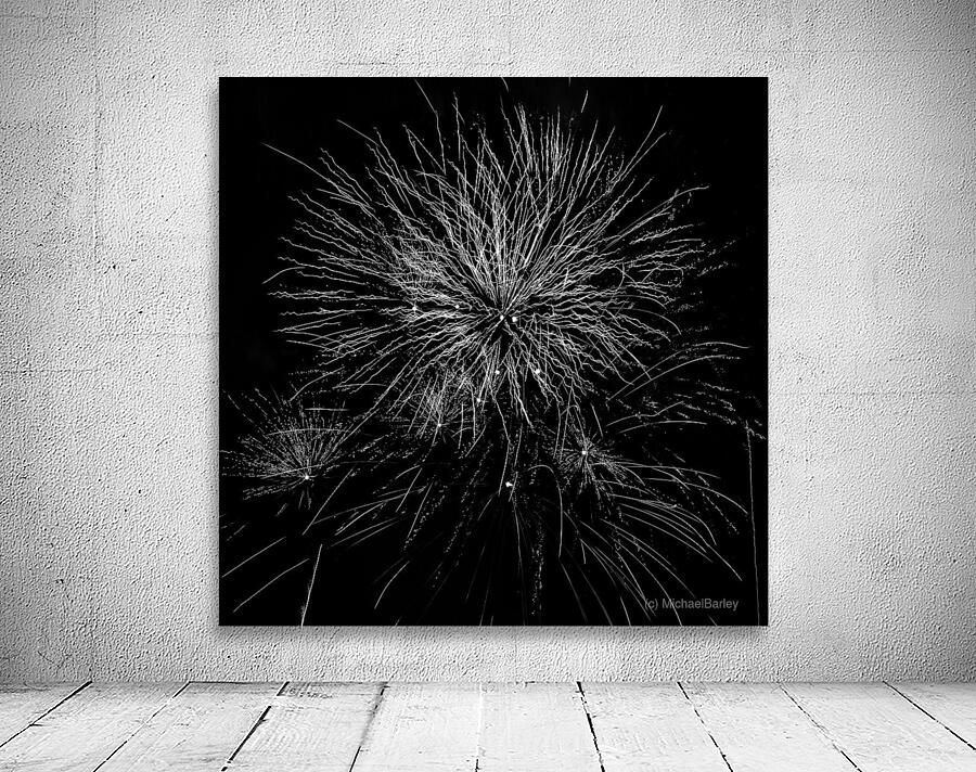B&W Celebration  8 Wall Preview