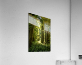 Natures Architecture Acrylic Print