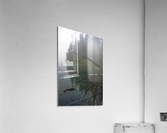 Transparent Reflection Acrylic Print