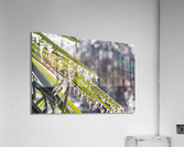 Icy Palm Acrylic Print