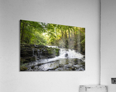 Fantasy Forest Acrylic Print