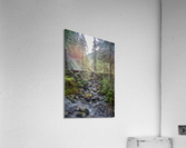 Among The Wild Things Acrylic Print