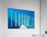 Take the Dive Acrylic Print