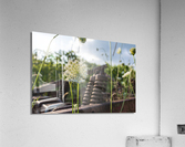 Something Old Something New Acrylic Print