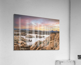 Elementary my dear Watson Acrylic Print