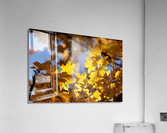 On the Bright Side Acrylic Print