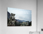 Keep Cool Acrylic Print