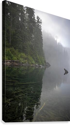 Reflecting on Washington Canvas Print