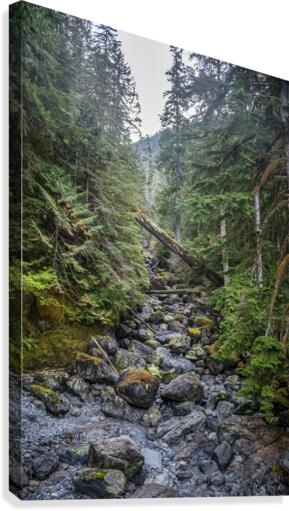 Among The Wild Things Canvas Print