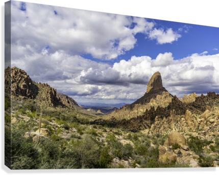 Back to the Saddle Canvas Print