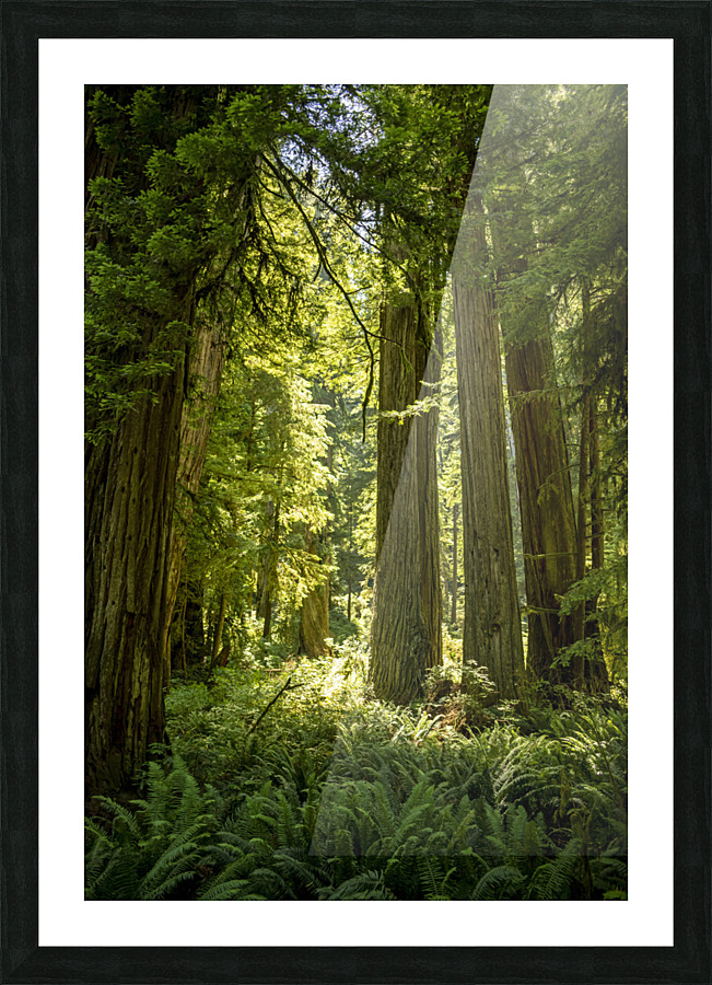 Natures Architecture Picture Frame print