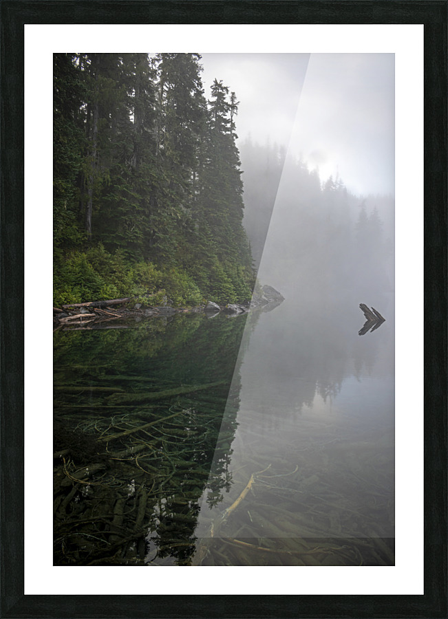 Reflecting on Washington Picture Frame print