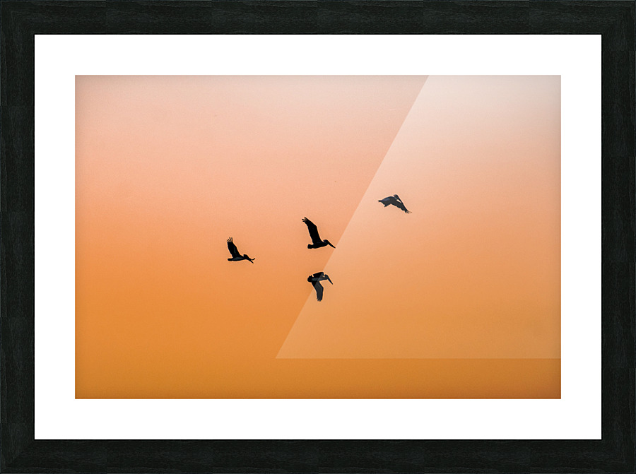 Taking Flight Picture Frame print