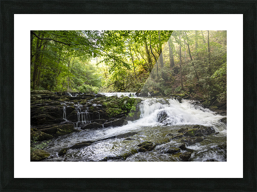 Fantasy Forest Picture Frame print