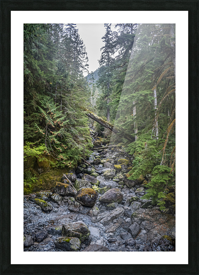 Among The Wild Things Picture Frame print