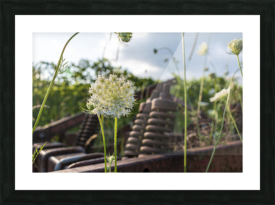 Something Old Something New Picture Frame print