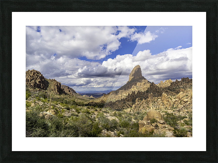 Back to the Saddle Picture Frame print