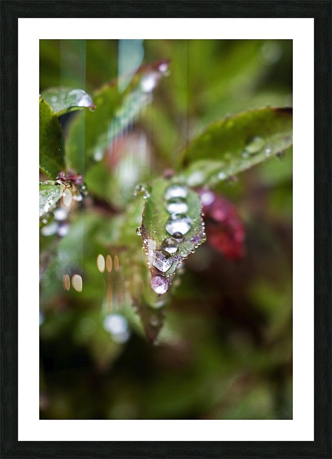 Washed Clean Picture Frame print