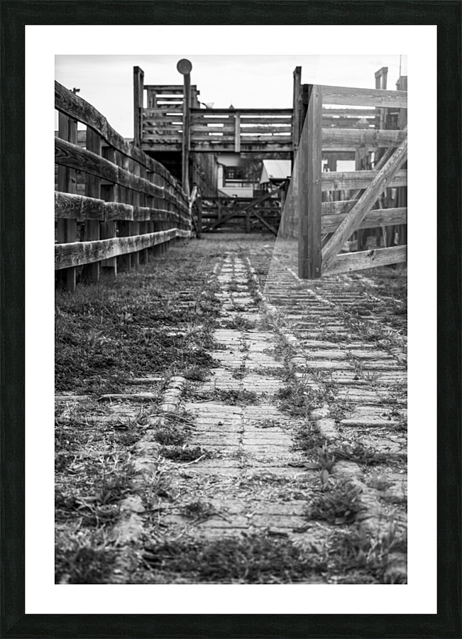 Rough Road Picture Frame print