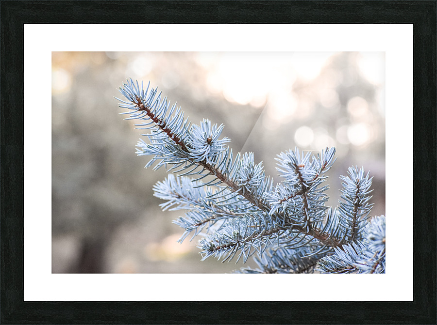 Forever Green Picture Frame print