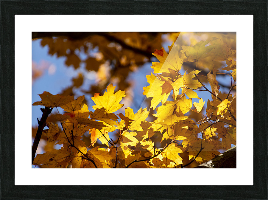 On the Bright Side Picture Frame print