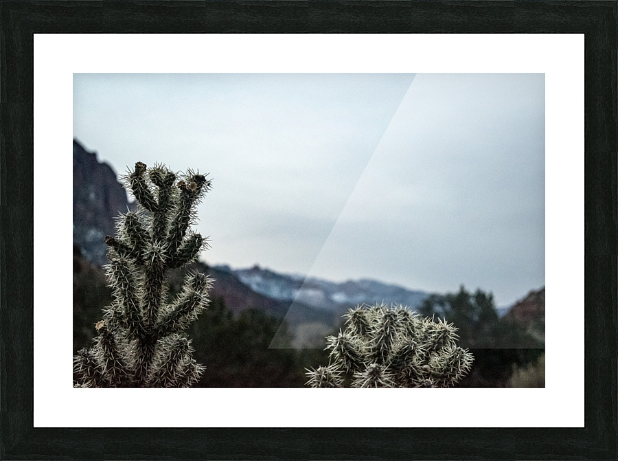 Keep Cool Picture Frame print