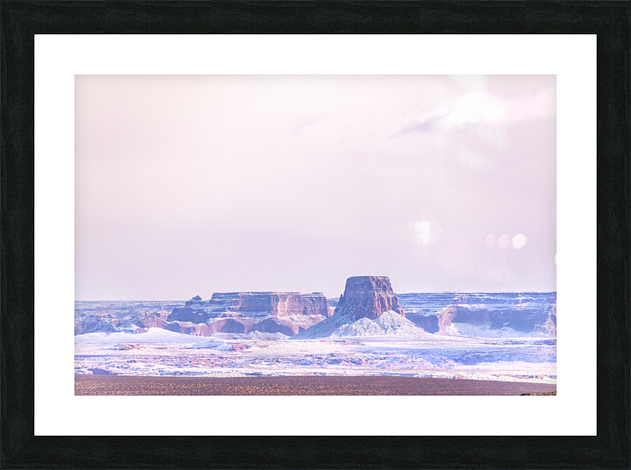 Desert Rose Picture Frame print
