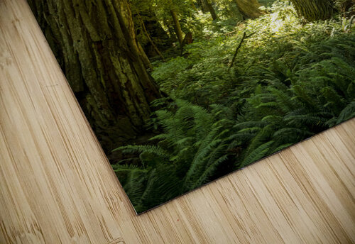 Natures Architecture Richard Weisenberger puzzle