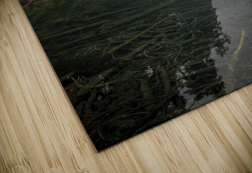 Reflecting on Washington Richard Weisenberger puzzle