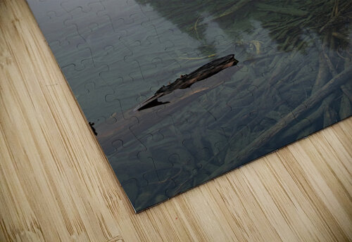 Transparent Reflection Richard Weisenberger puzzle