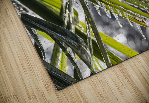 Icy Palm Richard Weisenberger puzzle