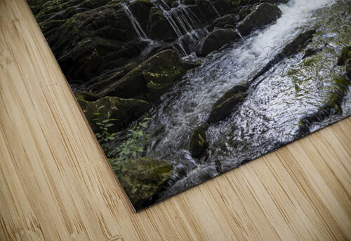 Fantasy Forest Richard Weisenberger puzzle
