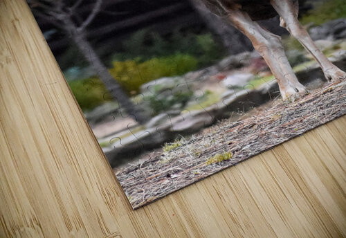 Hemingway Richard Weisenberger puzzle