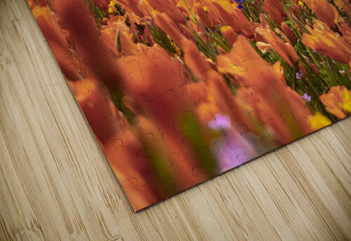 Orange Fields Forever Richard Weisenberger puzzle