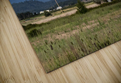 Roadside Views Richard Weisenberger puzzle