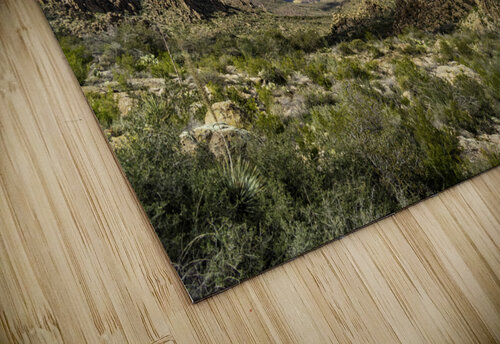 Back to the Saddle Richard Weisenberger puzzle