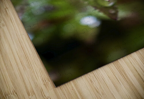 Washed Clean Richard Weisenberger puzzle