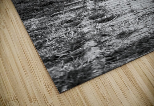 Rough Road Richard Weisenberger puzzle