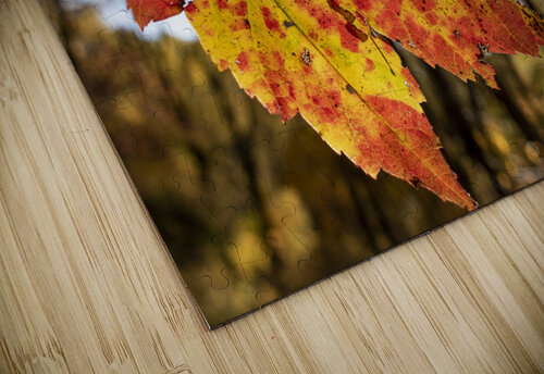 Did you Fall for It  Richard Weisenberger puzzle