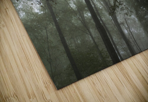 Feeling Foggy Richard Weisenberger puzzle
